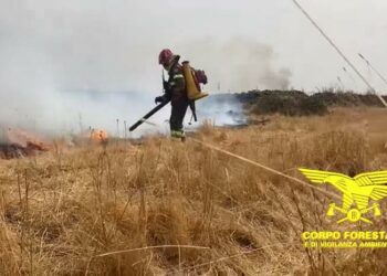 Incendi a Villanovatulo e Nuoro, sul posto anche i mezzi aerei del Corpo forestale