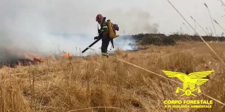 Incendi a Villanovatulo e Nuoro, sul posto anche i mezzi aerei del Corpo forestale