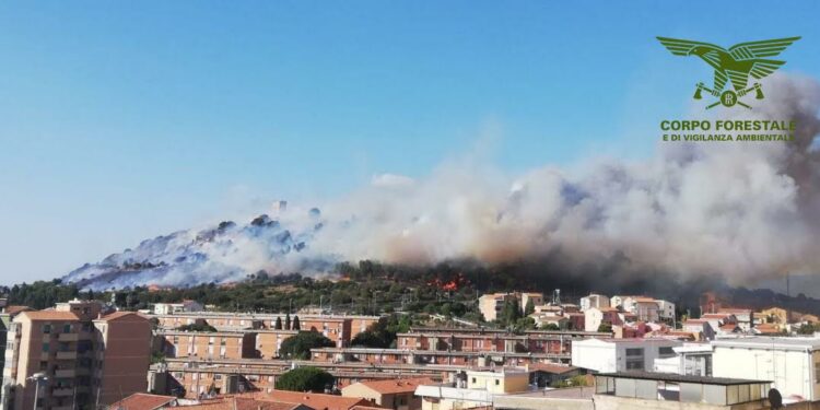 Cagliari, incendio boschivo e danneggiamento aggravato: arrestata una persona