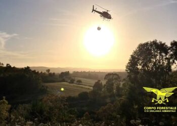 Anche oggi 11 incendi in Sardegna, 3 hanno richiesto l’intervento dei mezzi aerei