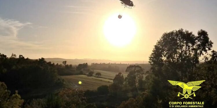 Anche oggi 11 incendi in Sardegna, 3 hanno richiesto l’intervento dei mezzi aerei