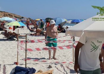 Due nuove schiuse di Caretta Caretta a Lotzorai e Pula