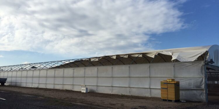 Bilancio pesante per i danni provocati dal maltempo nell’Oristanese