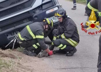 Palmas Arborea: cede la cunetta e un mezzo pesante rimane in bilico, intervengono i vigili del fuoco