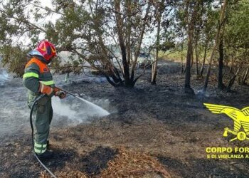 Incendi in corso a Escolca e Bari Sardo