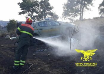 Incendio nelle campagne di Pabillonis, in località “Roia Pibera”, sul posto anche un Canadair arrivato da Olbia