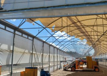 Tronba d’aria e forti piogge si sono abbattute su aziende del Terralbese, gravi danni a ortive e strutture agricole