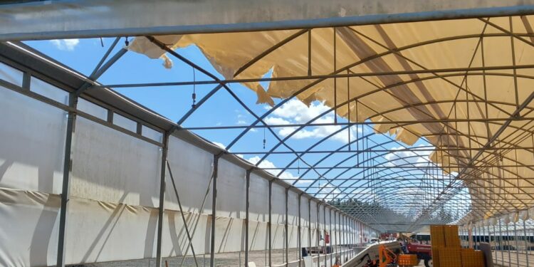 Tronba d’aria e forti piogge si sono abbattute su aziende del Terralbese, gravi danni a ortive e strutture agricole