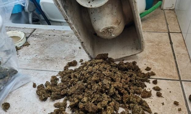 Gli investigatori delle Sezioni Falchi e Antidroga della locale Squadra Mobile, a Maracalagonis, hanno arrestato due uomini, padre e figlio, per detenzione ai fini di spaccio di sostanze stupefacenti in concorso