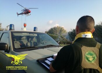 Anche oggi sono stati tanti gli incendi sviluppatisi in Sardegna, 15, ma solo 2 hanno richiesto l’intervento dei mezzi aerei