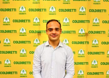 Nicola Stefano Tuveri è il nuovo delegato regionale di Coldiretti Giovani Impresa, rileva il posto di Frediano Mura