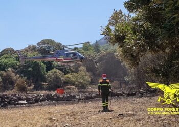 Incendio nelle campagne di Orotelli, in località “Pechinadu”