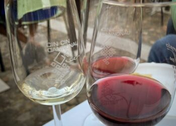 A Quartucciu, dal 24 al 28 settembre, si chiude la mostra itinerante “Cin Cin Cannonau”