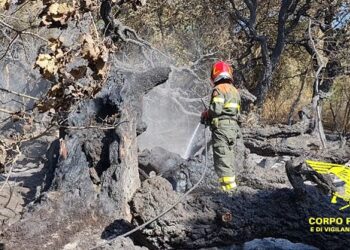 Oggi, su 13 incendi sviluppatisi in Sardegna, 3 hanno richiesto l’intervento dei mezzi aerei