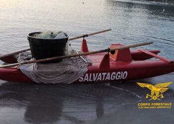 Il Corpo forestale al Poetto ha sorpreso un bagnino che utilizzava abusivamente un pattino per il salvamento per pescare