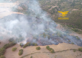 Oggi 3 dei 14 incendi sviluppatisi in Sardegna hanno richiesto anche l’intervento dei mezzi aerei