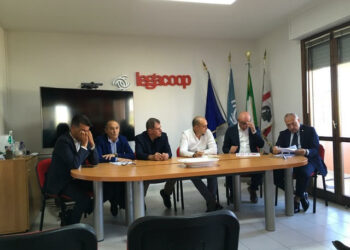 Cresce il prezzo del pecorino, dati positivi per gli allevatori dalla campagna latte 2022/2023