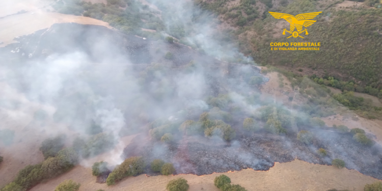 Oggi 3 dei 14 incendi sviluppatisi in Sardegna hanno richiesto anche l’intervento dei mezzi aerei