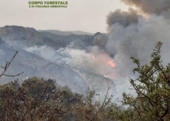 3 dei 14 incendi sviluppatisi oggi in Sardegna hanno richiesto anche l’intervento dei mezzi aerei