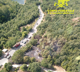 Incendio nelle campagne di Tiana, sul posto anche due elicotteri delle basi di Sorgono e Farcana