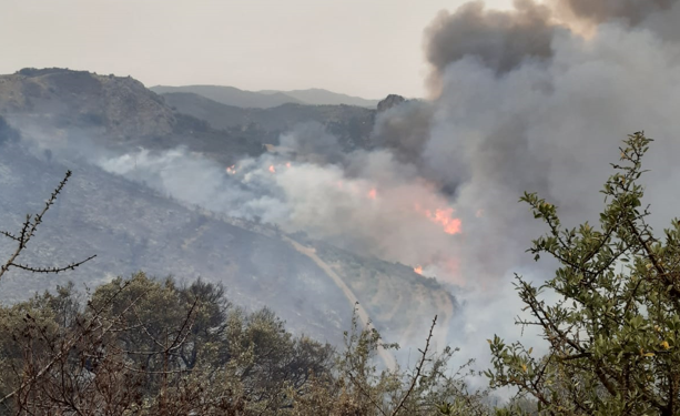 3 dei 14 incendi sviluppatisi oggi in Sardegna hanno richiesto anche l’intervento dei mezzi aerei
