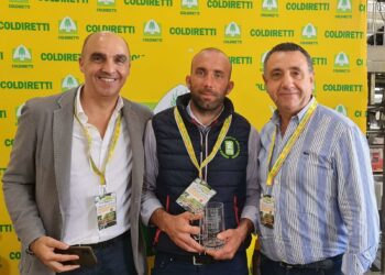 Agnello Igp Sardegna a emissioni zero: premiati i progetti arrivati da Sindia e Oristano
