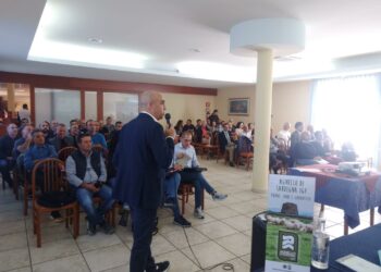 Contas è il primo Consorzio di carni ovine in Europa per fatturato