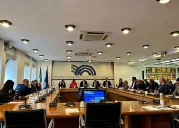 Anita Pili: «È necessario che le nostre comunità siano davvero protagoniste della transizione energetica»