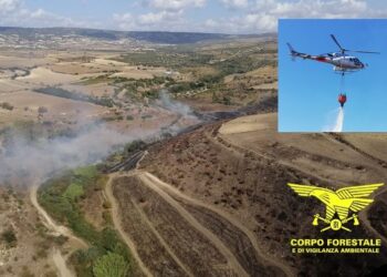 Oggi, su 19 incendi sviluppatisi in Sardegna, 3 hanno richiesto, oltre le squadre a terra, anche l’intervento dei mezzi aerei del servizio aereo antincendio regionale
