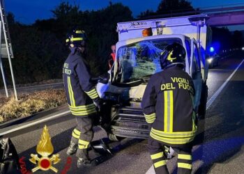 Chiaramonti: veicolo per rifiuti si scontra con una mucca, il conducente finisce in ospedale