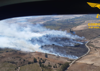 3 dei 15 incendi sviluppatisi oggi in Sardegna hanno richiesto l’intervento dei mezzi aerei