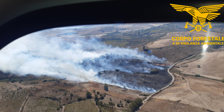 3 dei 15 incendi sviluppatisi oggi in Sardegna hanno richiesto l’intervento dei mezzi aerei