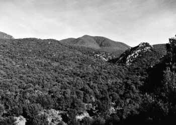 L’8 ottobre, a Pantaleo, sede del Parco naturale regionale di Gutturu Mannu, una giornata dedicata alle escursioni