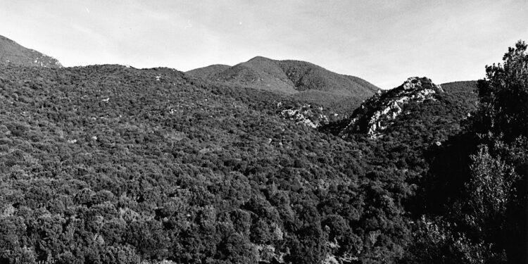 L’8 ottobre, a Pantaleo, sede del Parco naturale regionale di Gutturu Mannu, una giornata dedicata alle escursioni