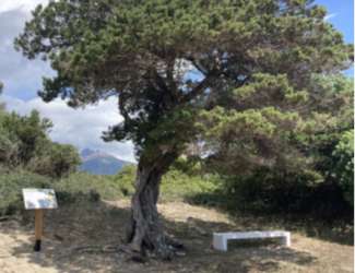 Terna in campo per la valorizzazione del patrimonio storico e naturalistico della Sardegna