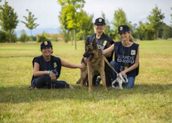 Sono aperte le iscrizioni al corso di formazione per diventare guardia zoofila dell’Organizzazione internazionale protezione animali (Oipa)