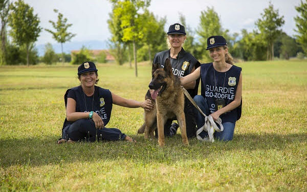 Sono aperte le iscrizioni al corso di formazione per diventare guardia zoofila dell’Organizzazione internazionale protezione animali (Oipa)