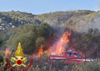 Olbia: incendio in località “Pinnacula”, bruciati 5mila mq di vegetazione