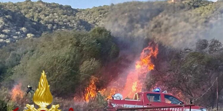 Olbia: incendio in località “Pinnacula”, bruciati 5mila mq di vegetazione