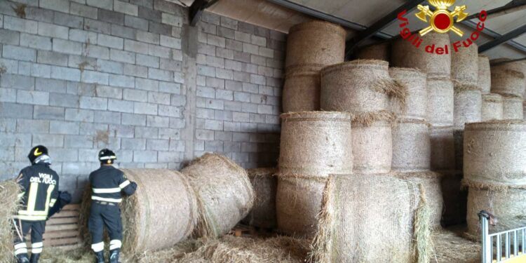 Sindia: schiacciato da una rotoballa, un uomo ricoverato in ospedale in codice rosso