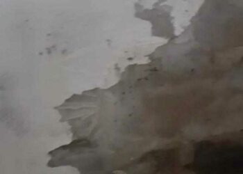 Ico Bruzzi (Sardegna al Centro 20 venti Porto Torres): «Realizzare i lavori di manutenzione nelle abitazioni Area»