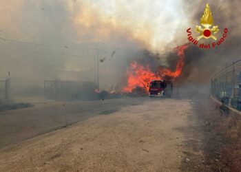 Incendio alla periferia di Tortolì, sul posto i vigili del fuoco