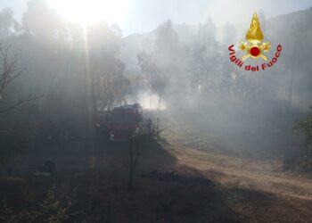 Cardedu: incendio in zona Pelau, bruciati circa 30 ettari di vegetazione
