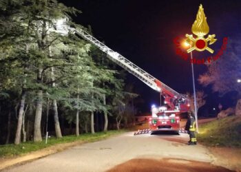 Maestrale a Bono, i vigili del fuoco mettono in sicurezza alberi pericolanti