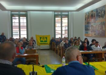 Coldiretti Nuoro-Ogliastra: «Calano imprese e produzioni nel settore dell’olivicoltura»