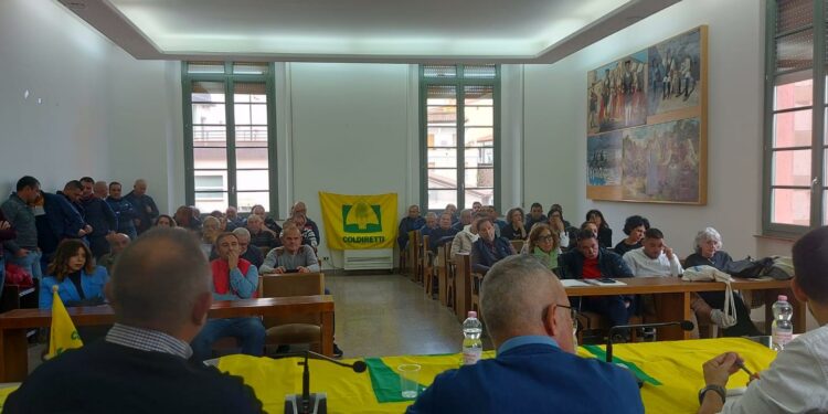 Coldiretti Nuoro-Ogliastra: «Calano imprese e produzioni nel settore dell’olivicoltura»