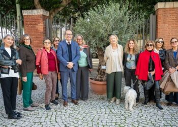 Cagliari: un ulivo secolare al Giardino sotto le mura