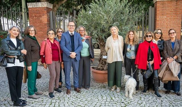 Cagliari: un ulivo secolare al Giardino sotto le mura