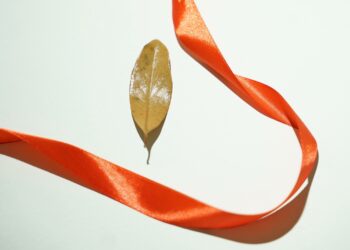 Studenti e studentesse dell’Università degli Studi di Cagliari ricordano Giulia Cecchettin