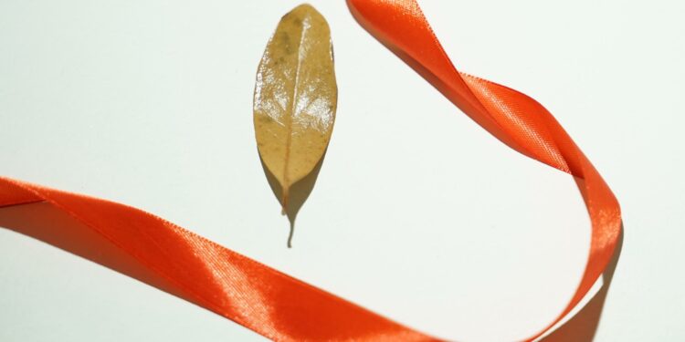 Studenti e studentesse dell’Università degli Studi di Cagliari ricordano Giulia Cecchettin